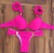 push-up bikini.png